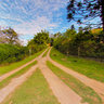 Pousada Araucária