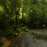 Chong-Fah-Waterfall-2011