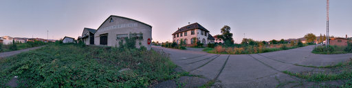 Blackberries overgrowing everything in Freiburg Old Goods Station