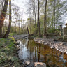 Jungfernsteg