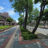 成功大學總圖‧工學院大道‧雕像「琵琶飛天」 Sulpture.Engeneering Avanue.Main Library of National Cheng Kung University