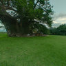 Big Baobab Tree Bar