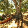 Tofo Local Fishermen