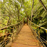 Rope Bridge at Sun City