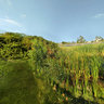 The GrandWest Casino and Entertainment World Wetlands