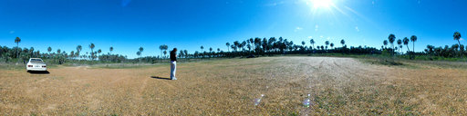 Parque nacional EL PALMAR
