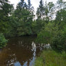 Coed Y Werin 2