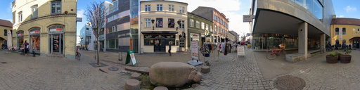 The Hippopotamus in Frederiksgade