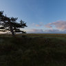 October Morning View at Skallingen