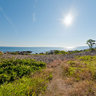 Bornholm Coastal Path Btw Sandkaas Allinge 04
