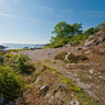 Bornholm Coastal Path Btw Sandkaas Allinge 06