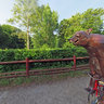Bruno the bicycling bear - by Hannah Kidd