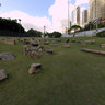 Sydney Rocks
