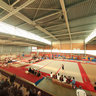 Departmental gymnastic competition