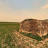 Fields of bunkers