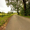 Distorted road in countryside of Pevele