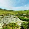 plaines vallonnées d'aubrac-fp