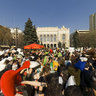 Pillowfight