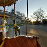 Montmartre's Caroussel