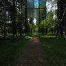Forest Of Dean Cathedral