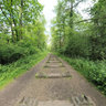 Forest Of Dean Iron Road