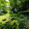 The Weir Rockery