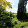 The Weir Rockery