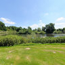 The Weir Water Meadow