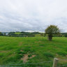 Trelissick Gardens, Parkland View, Cornwall, England