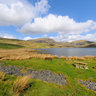 Llyn Cwmystradllyn 1 Wales Uk