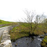 Slate Mill Nw Ynys Y Pandy Wales Uk