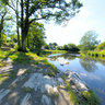 Cenarth Bridge Wales Uk