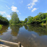 River Teifi Cenarth Wales Uk