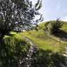 Krakus Mound in summertime