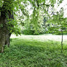 Krasiczyn Park