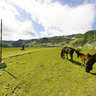 Rila Platoto nad babreka