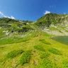 Rila Babreka