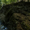 Natural Park in Kroatia