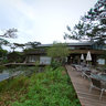 松園水池旁