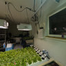 Niseko Green Farm Hydroponic Micro Vegetable Production
