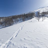 Yotei Hike 2