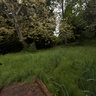 Secret Garden, Halfmoon Bay