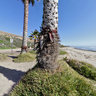 Old Mans Surf Beach, San Onofre Sate Beach, San Clemente