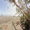 Old Mans Surf Beach , San Onofre Statepark