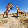 Anza Borrego Desert, Metal Horse Sculptures 2