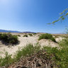 Ocotillo Wells SVRA Desert Sand Dunes