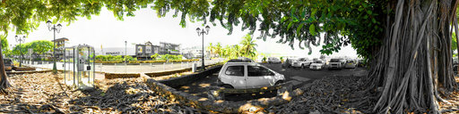 The Tree