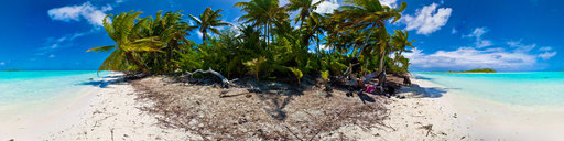L'île aux oiseaux