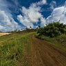 Anakena Beach PathWay
