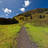 Rano Raraku (External Slope 05 of 13)